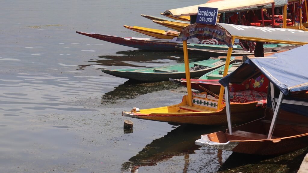 Srinagar family tour