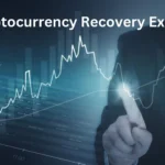 Bitcoin Recovery Services