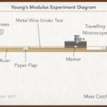 Young modulus Apparatus