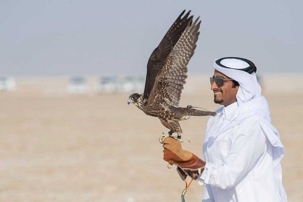 Falcon Activity