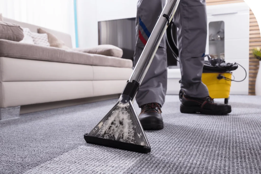 Carpet Cleaning Services