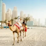 Explore the Best Desert Safari Experiences in the UAE