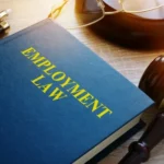 Best Employment Lawyers in Toronto