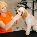 Pet grooming business