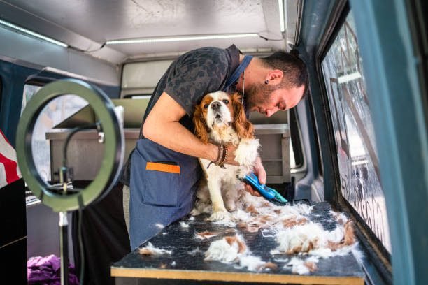 Mobile Dog Grooming