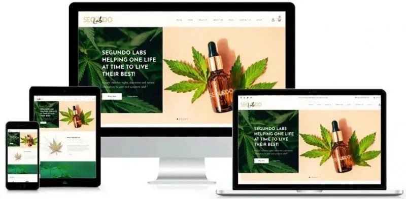 CBD Web Design Company