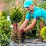 Landscape Gardener