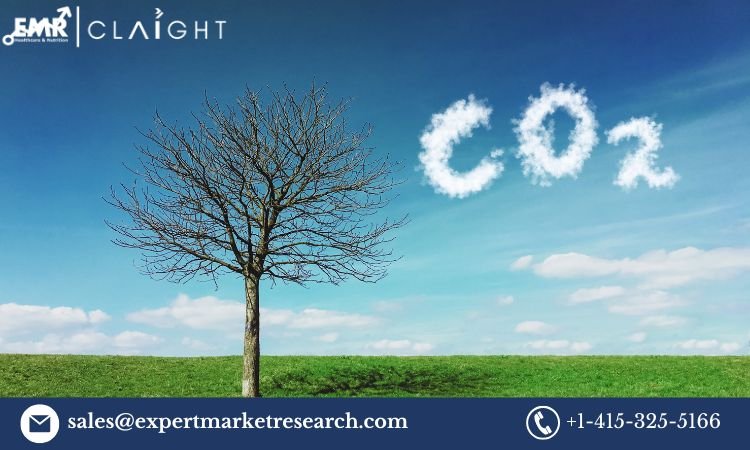 United Kingdom Carbon Dioxide Market