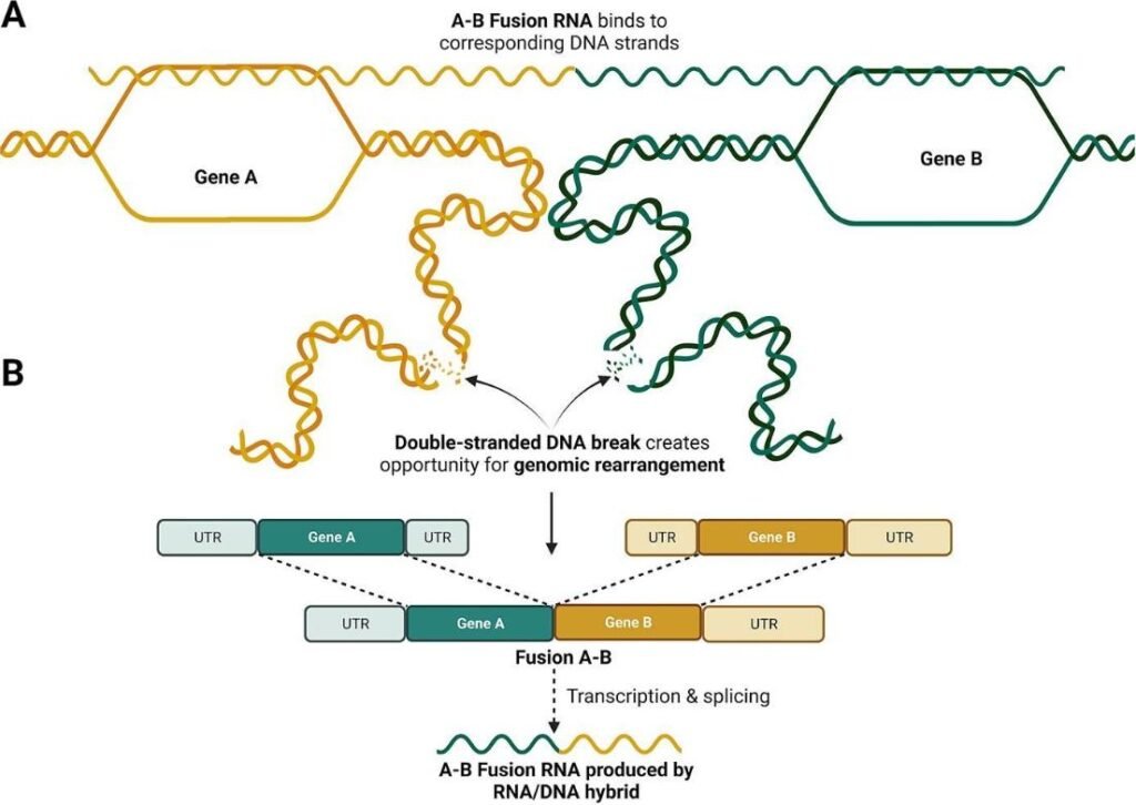 Advanced Techniques in Sequencing for Gene Fusion Transcripts