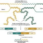 Advanced Techniques in Sequencing for Gene Fusion Transcripts