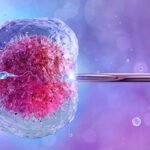 How Technology Enhances IVF Success: Insights from Experts