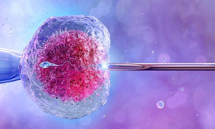 How Technology Enhances IVF Success: Insights from Experts