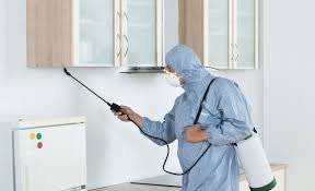 pest control removal service