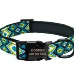 Dog Collar