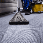 Bonnet Carpet Cleaning: Fast & Effective Carpet Maintenance