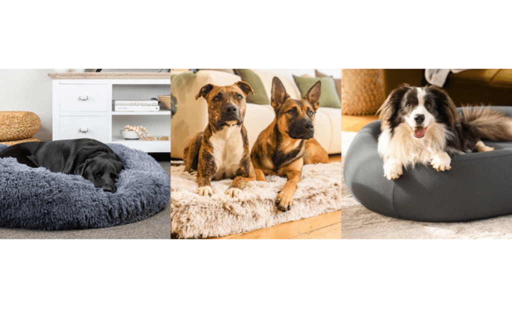 Large memory foam dog bed Singapore