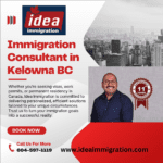 immigration consultant