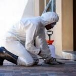 The Importance of Effective Pest Control in Commercial Spaces