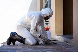 The Importance of Effective Pest Control in Commercial Spaces