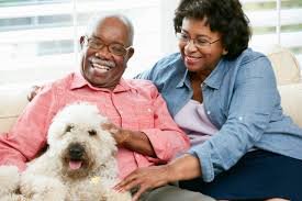 Pet-Friendly Assisted Living: What You Should Know