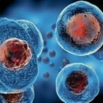 Regenerative Stem Cell Tharapy by Medicine