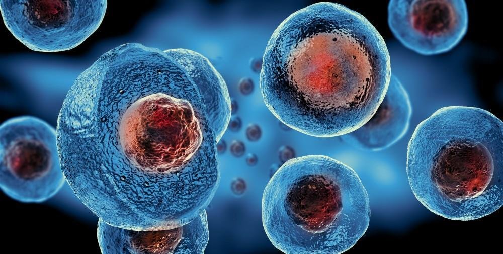 Regenerative Stem Cell Tharapy by Medicine