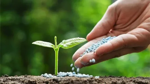 Key Insights from the Controlled Release Fertilizer Market Growth