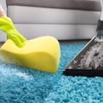 How Professional Carpet Cleaning Can Revolutionize Your Home’s