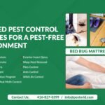 bed bug treatment vaughan