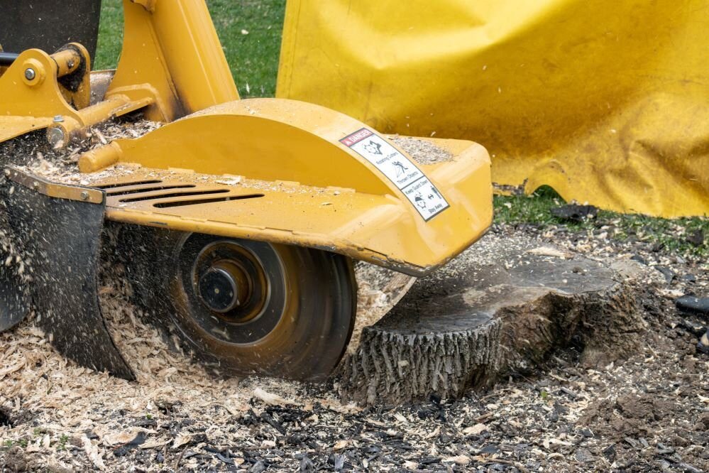 tree root grinding